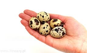 Ile waży 5 jajek przepiórczych - sprawdź kalorie i wagę, obejrzyj ...